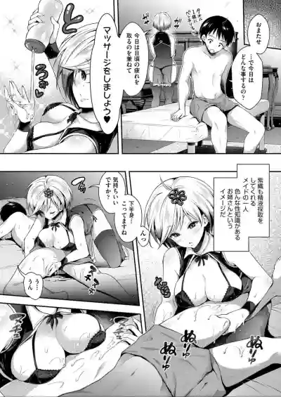 Harem Maid No Damedame Ecchi hentai