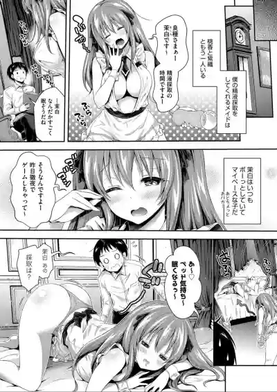 Harem Maid No Damedame Ecchi hentai