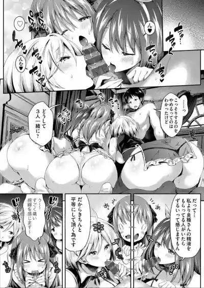 Harem Maid No Damedame Ecchi hentai