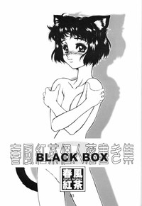 Akugou Sanmai Ni | BLACK BOX hentai