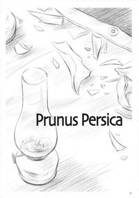 Prunus Persica hentai