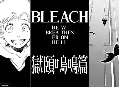 BleachShot hentai
