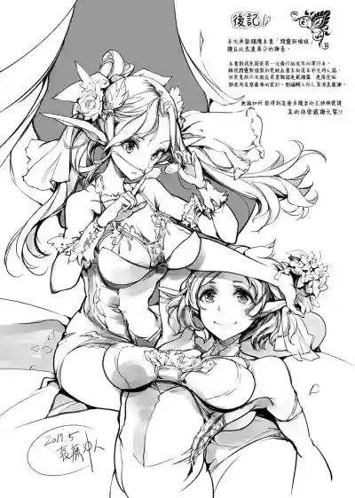 Elf no Yomeiri hentai