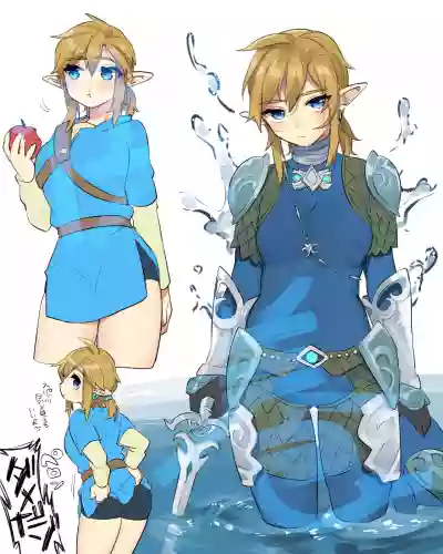 Zelda Summary hentai