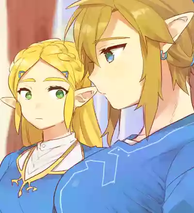 Zelda Summary hentai