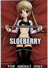 SLOEBERRY hentai