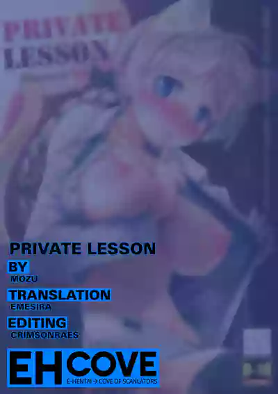 PRIVATE LESSON hentai