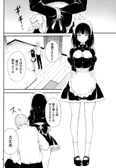 Maid Kyouiku. 2 hentai