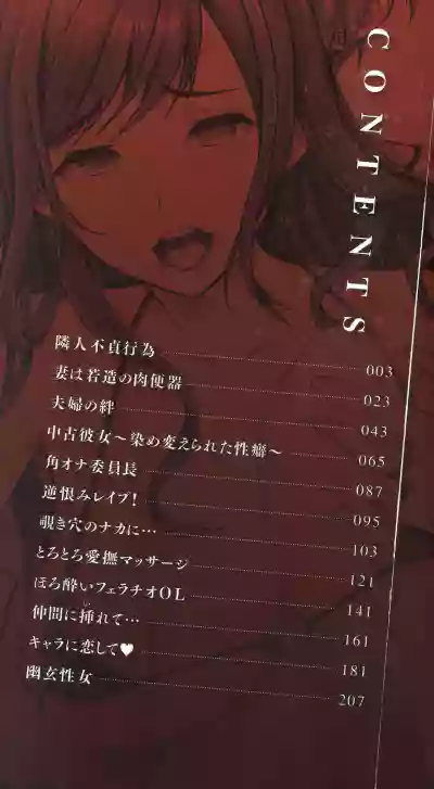Fuufu no Kizuna+ Toranoana Limited Booklet hentai