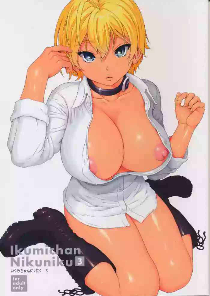 Ikumi-chan Niku Niku 3 hentai
