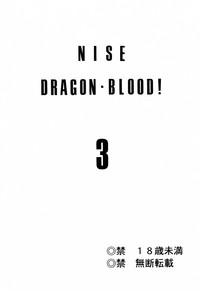 NISE Dragon Blood! 3 hentai