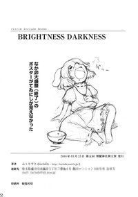 BRIGHTNESS DARKNESS hentai