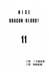 Nise Dragon Blood! 11 hentai