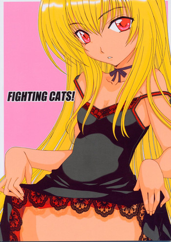 Fighting Cats! hentai