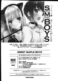 Ero Shota 12 - Sweet Maple Boys hentai