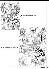 T2 ART WORKS Genga&Roughshuu hentai