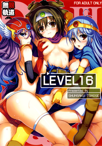 LEVEL 16 hentai