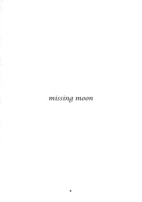 MISSING MOON hentai