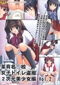 Bou Yuumei Koukou Joshi Toilet Tousatsu 2-jigen Bishoujo Hen Vol. 2 hentai