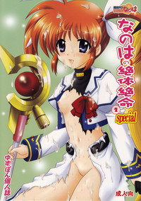 Nanoha no Zettai Zetsumei Special 2 hentai