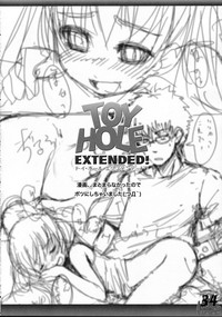 TOY HOLE EXTENDED! hentai