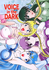 VOICE in the DARK hentai