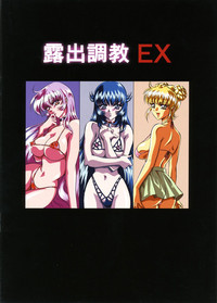 Roshotsu Choukyou EX - Hitozuma Inme Roshotsu Dorei hentai