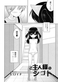 COMIC RiN 2010-11 hentai