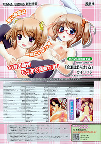 COMIC RiN 2010-12 hentai