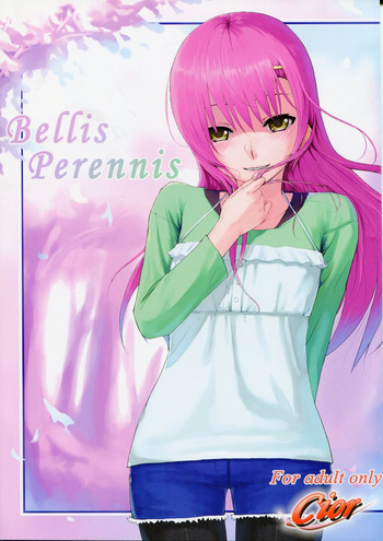 Bellis Perennis hentai