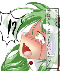 Sanae-san no Junan hentai