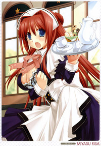 Otona no Moeoh 2008 Winter Meido Hon hentai