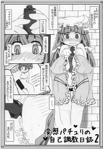 Hentai Patchouli no Jiko Choukyou Nisshi 2 hentai