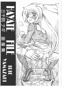 HAYATE FILE Sanzenin Nagi Gazoushuu hentai