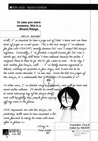 303e Vol.03 Bleach Edition - Uncertain Sister hentai