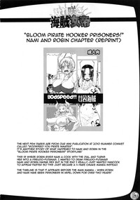 Midarezaki Kaizoku Jotei | Bloom Pirate Hooker Queen hentai