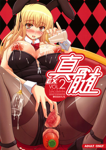 Shinzui EX Vol. 2 hentai