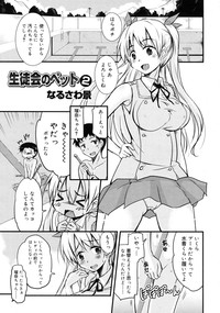 COMIC RiN 2011-06 hentai