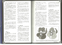 Monster Girl Encyclopedia World Guide I ～Daraku no ShoujoFallen Maidens- hentai