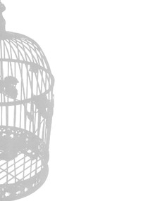 IDOLTIME SPECIAL BOOK YUKIHO HAGIWARA in the Bird Cage hentai