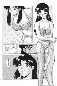Misato&#039;s Past hentai