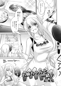 COMIC RiN 2011-11 hentai