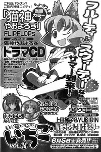 Young Champion Retsu Vol.19 hentai