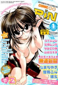 COMIC RiN 2012-01 hentai