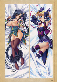 Shin-Koihime Musou Otome Ryouran Sangokushi Engi Perfect Visual Book hentai