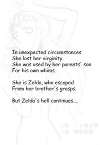 NISE Zelda no Densetsu Shinshou hentai