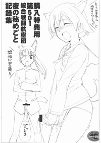 Kounyuu Tokutenyou Dai 501 Tougou Sentou Koukuudan Yoru no Himegoto Kirokushuu hentai