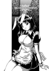 Mesu Neko - Maid Cats Story hentai