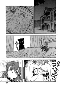 Mesu Neko - Maid Cats Story hentai