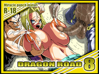 DRAGON ROAD 8 hentai